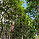 说明: 640