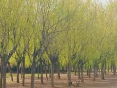 说明: 640 (13)